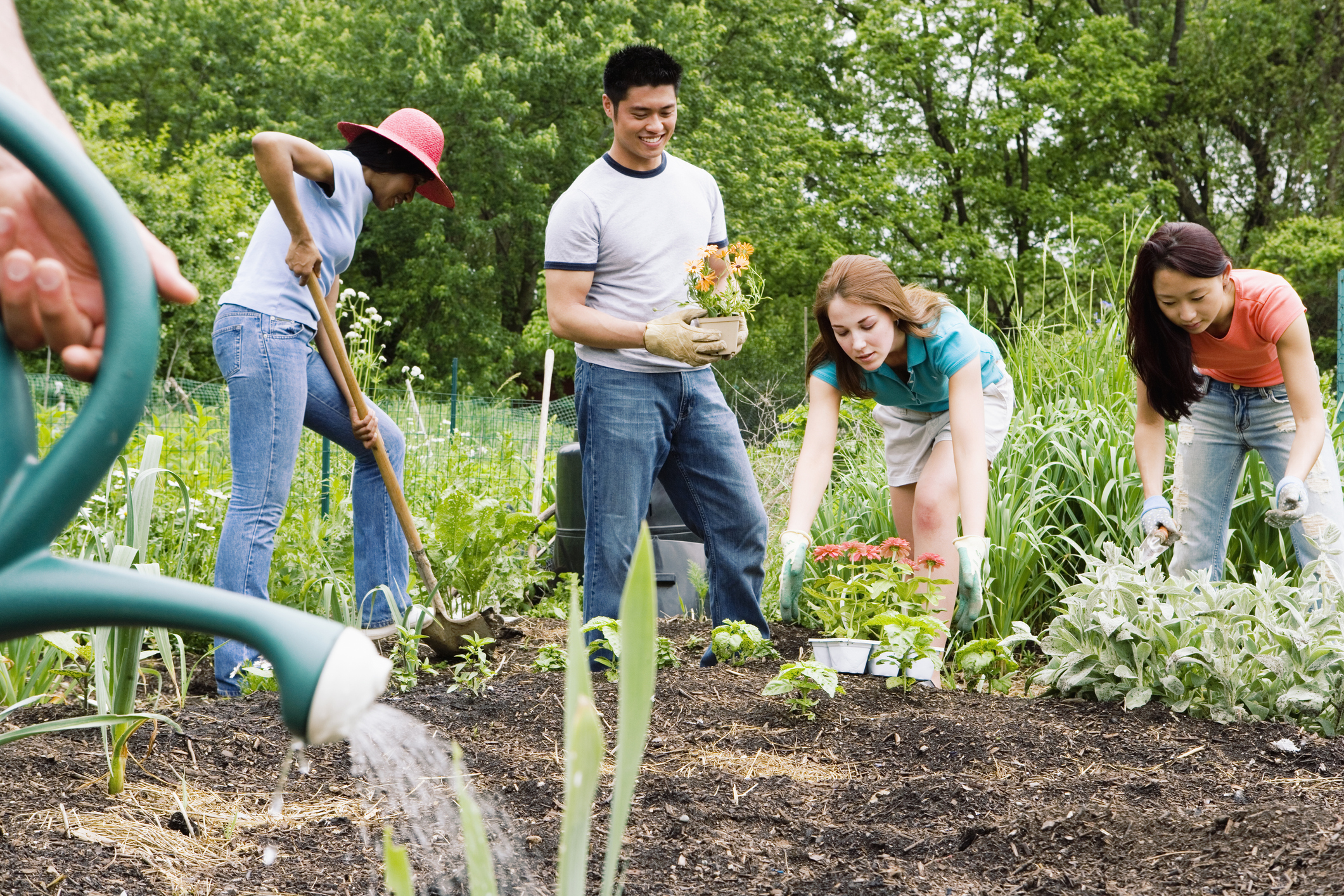 Community Garden