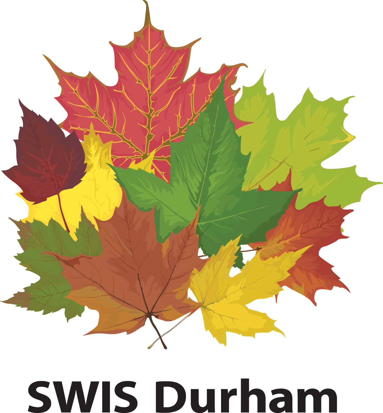 SWIS Durham Logo