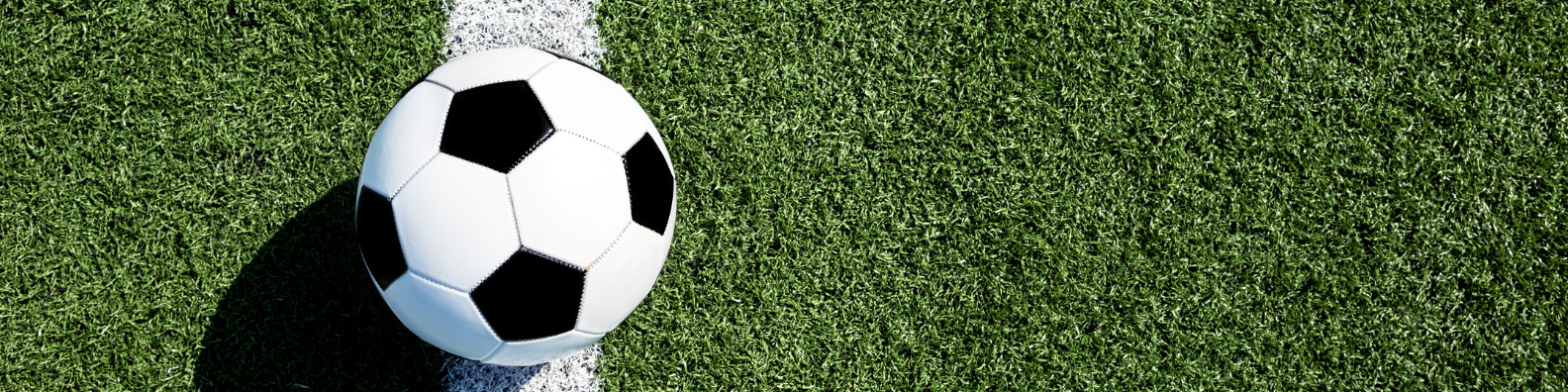 Soccer ball sitting on the goal line of a soccer pitch